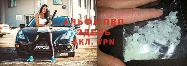 крисы Аркадак