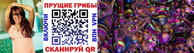 Псилоцибиновые грибы мицелий  Валдай 